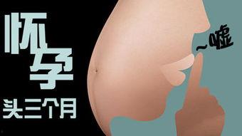 日韩妊娠视频,孕期视频带你领略育儿风采