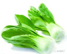 日韩主妇日常备菜视频,轻松掌握日常美味