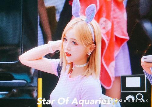 哪里可以看日韩写真视频,一场视觉与文化的双重之旅